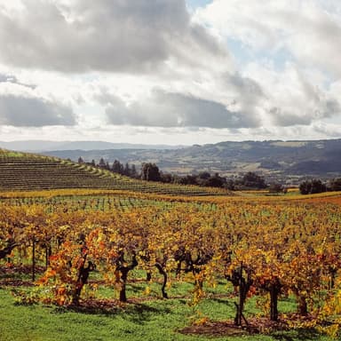 Sonoma Over Thanksgiving