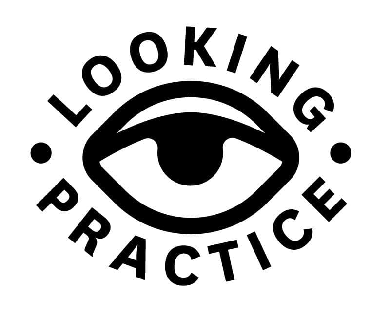 Looking Practice logo