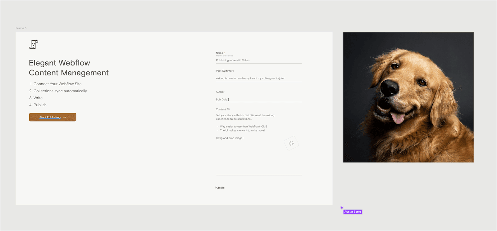 Sometimes our job is bonkers.