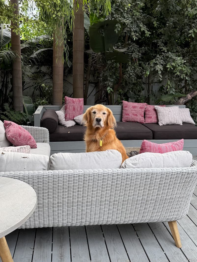 Weekend woof.