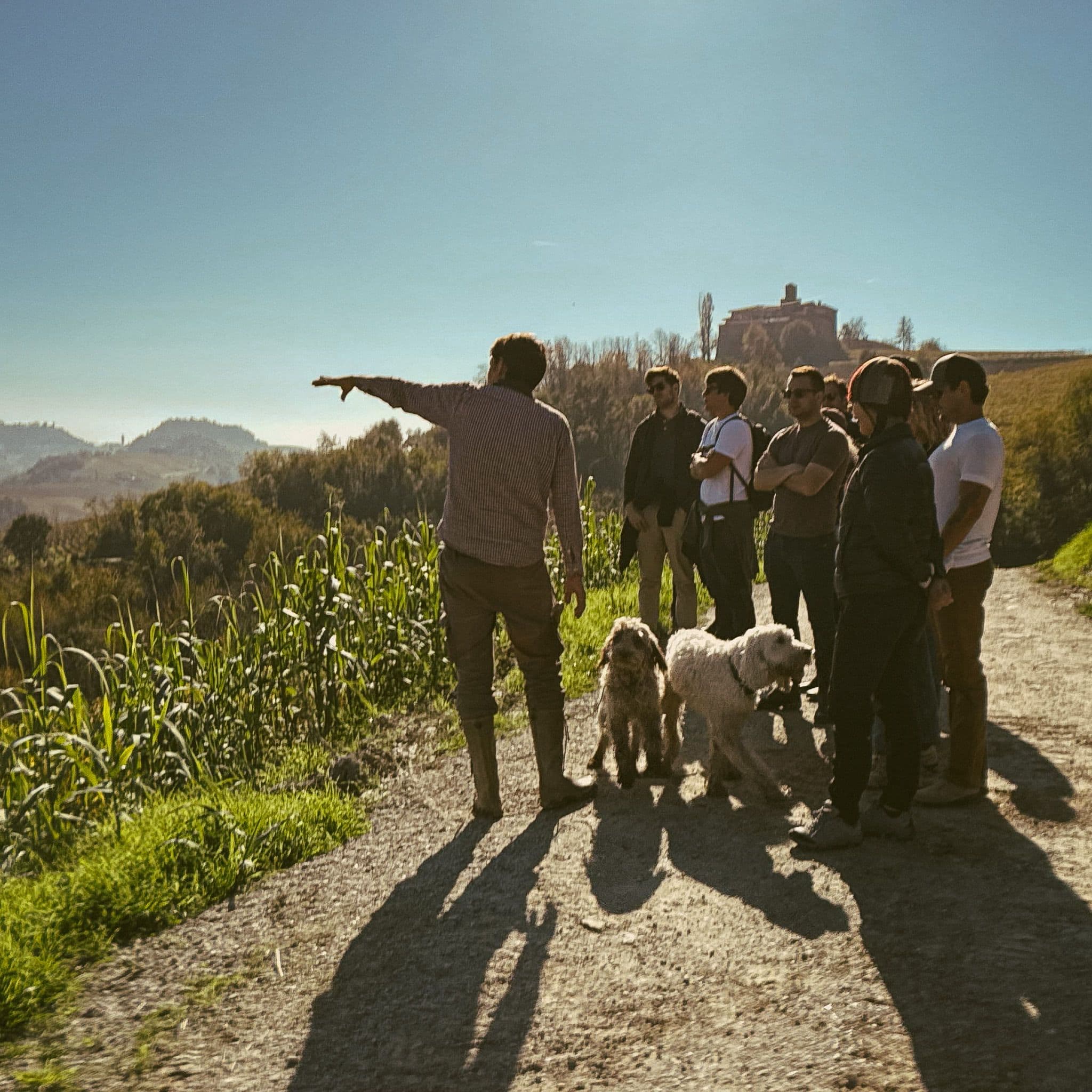 An Italian adventure.