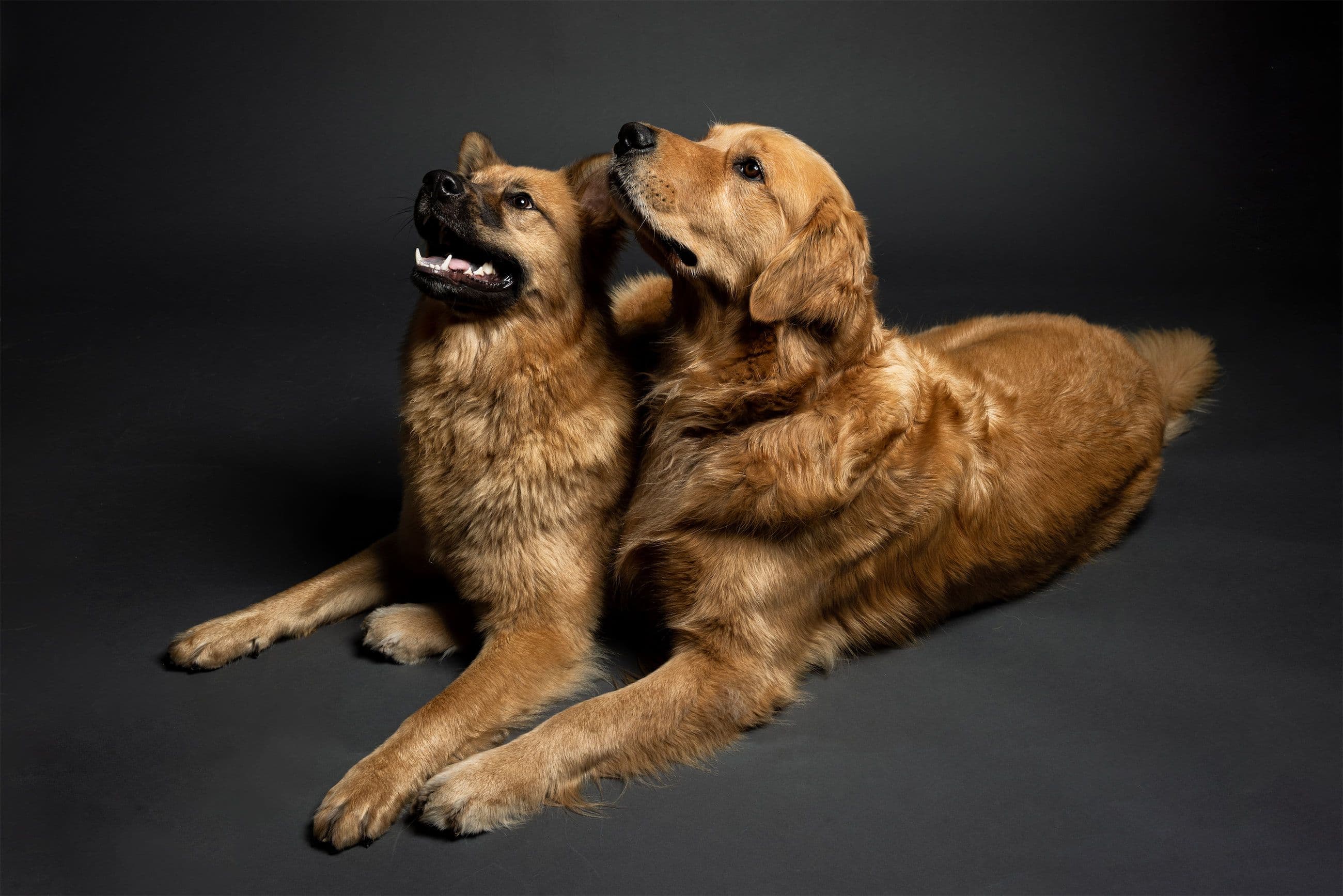 Frannie, Charlie and Graham