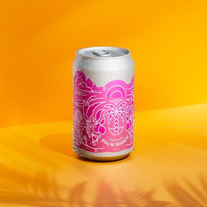 Palm Booch Can Rendering