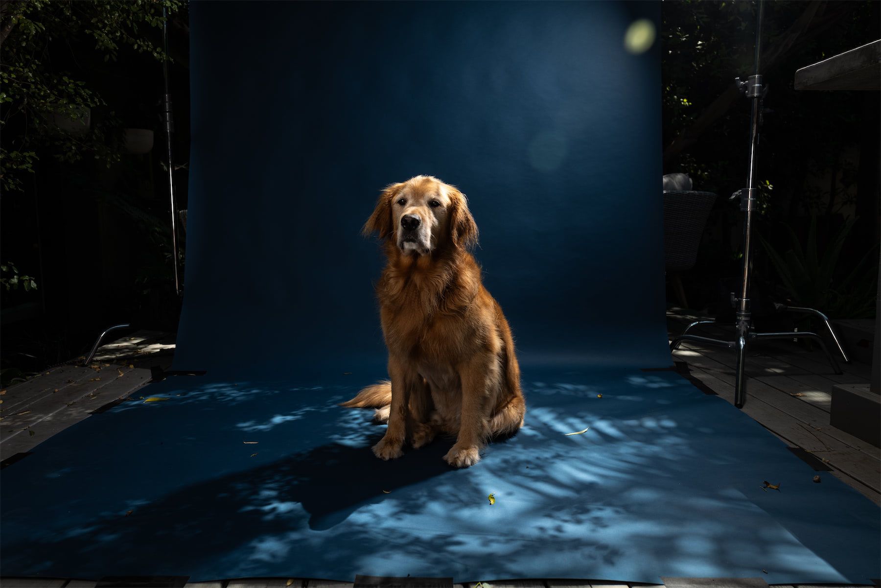 __wf_reserved_inherit