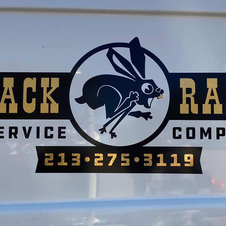 Black Rabbit