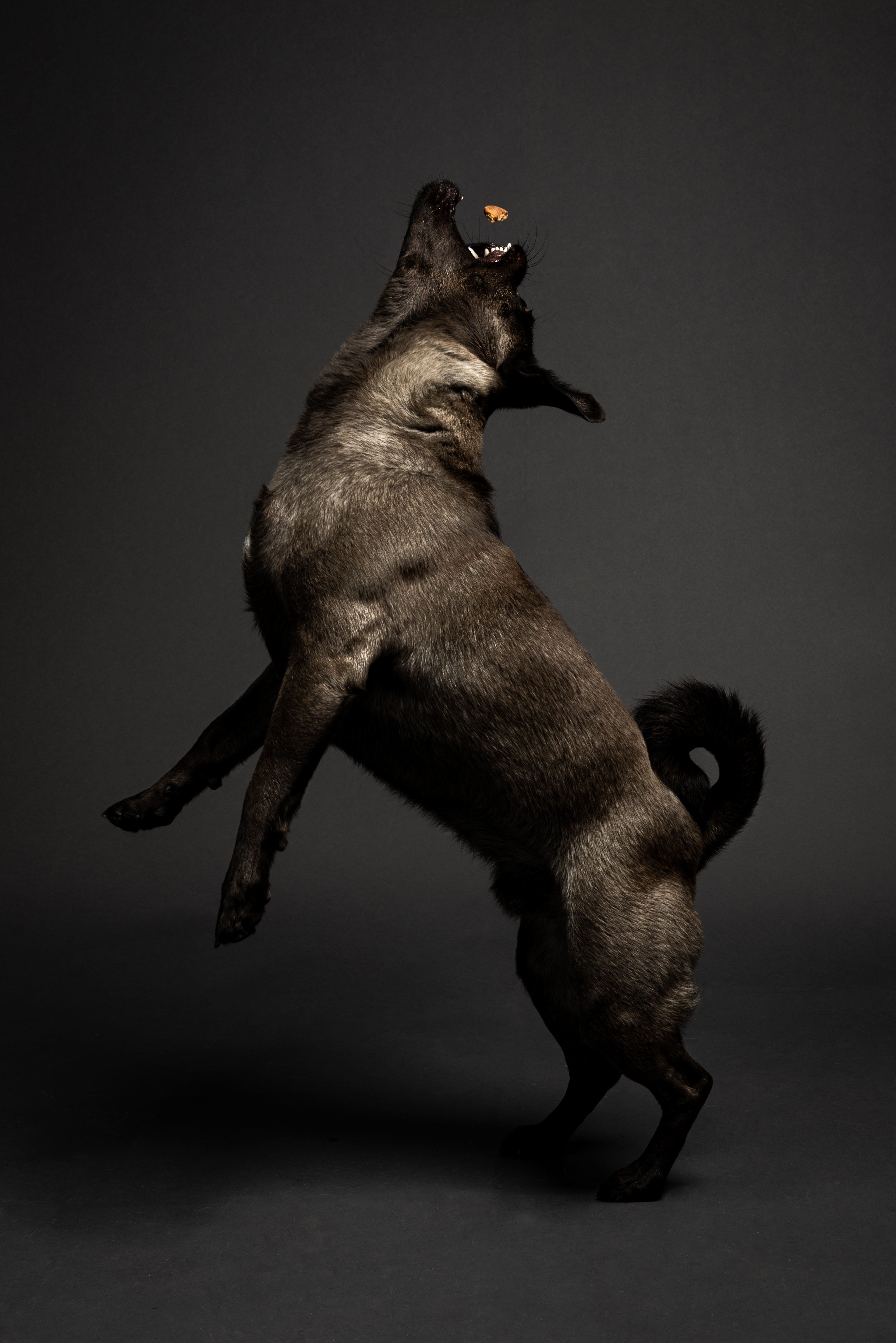 Charlie Jump