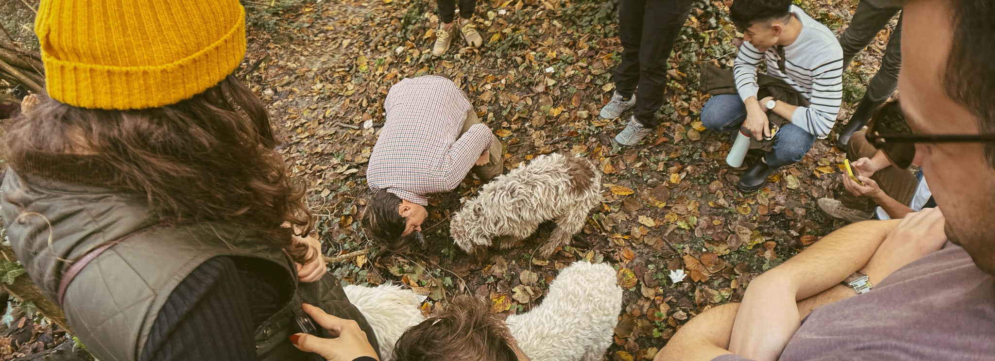 __wf_reserved_inherit