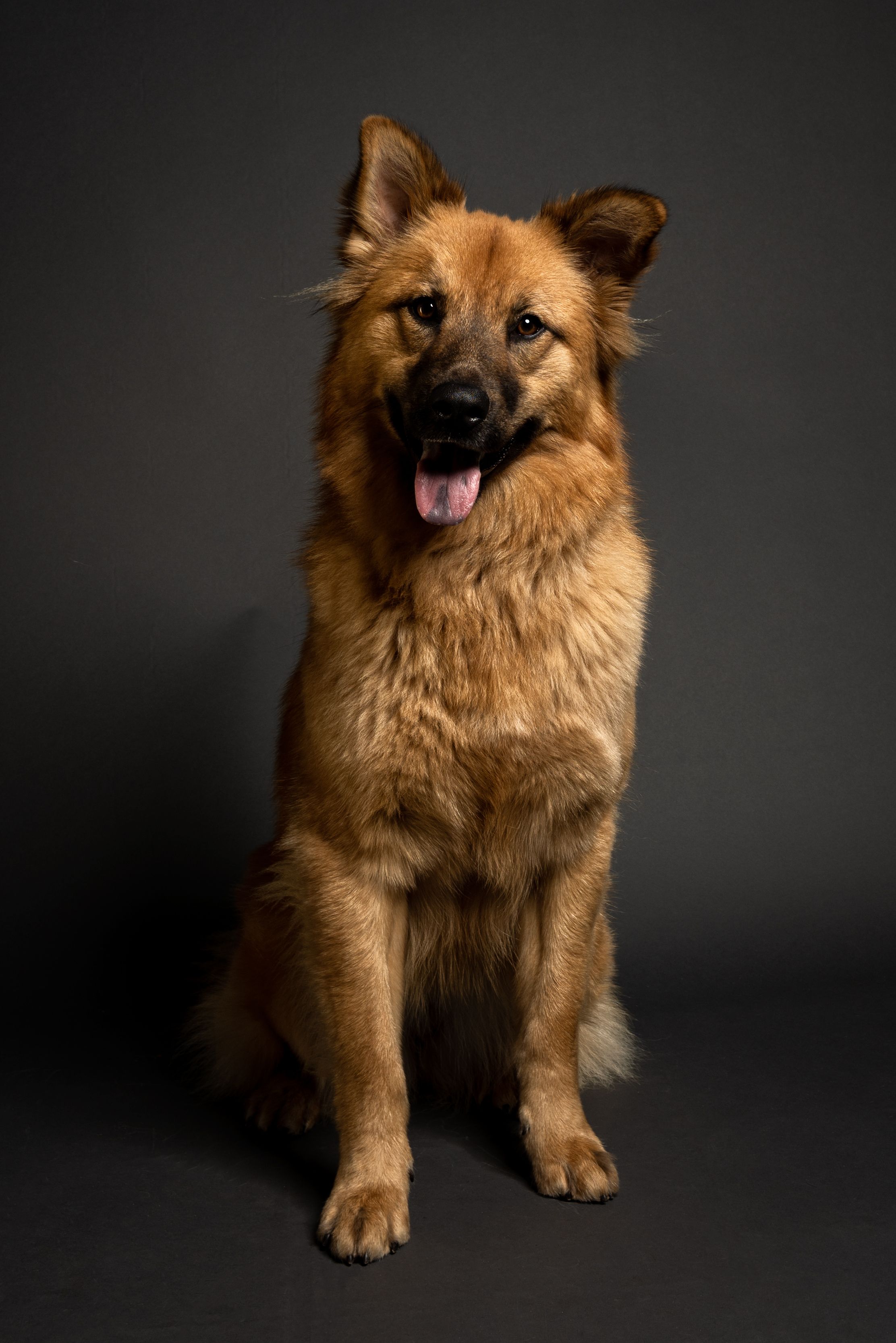 Frannie Portrait