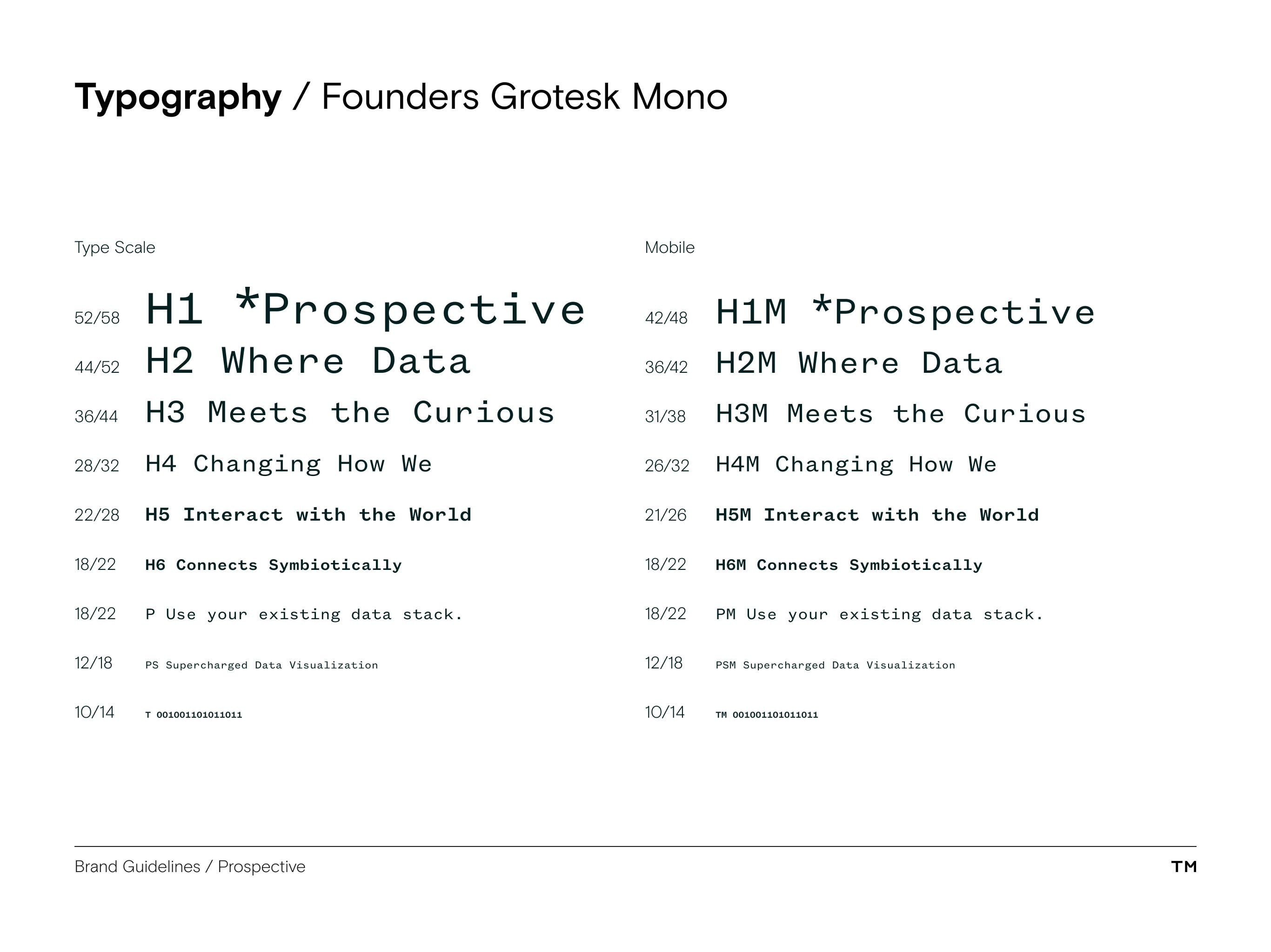 Prospective brand guidelines type scale