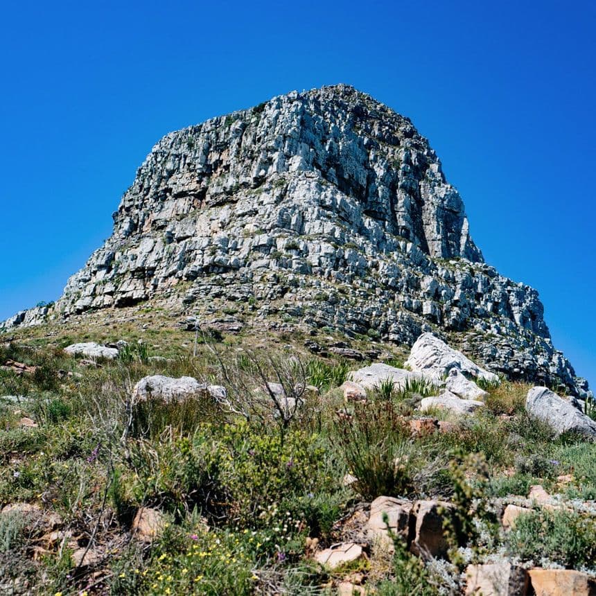 Hiking Lion's Head