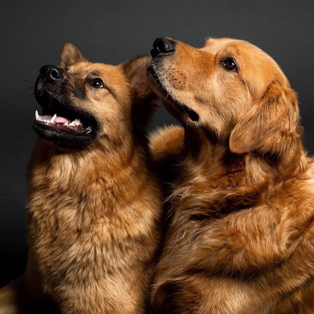 Frannie, Charlie and Graham