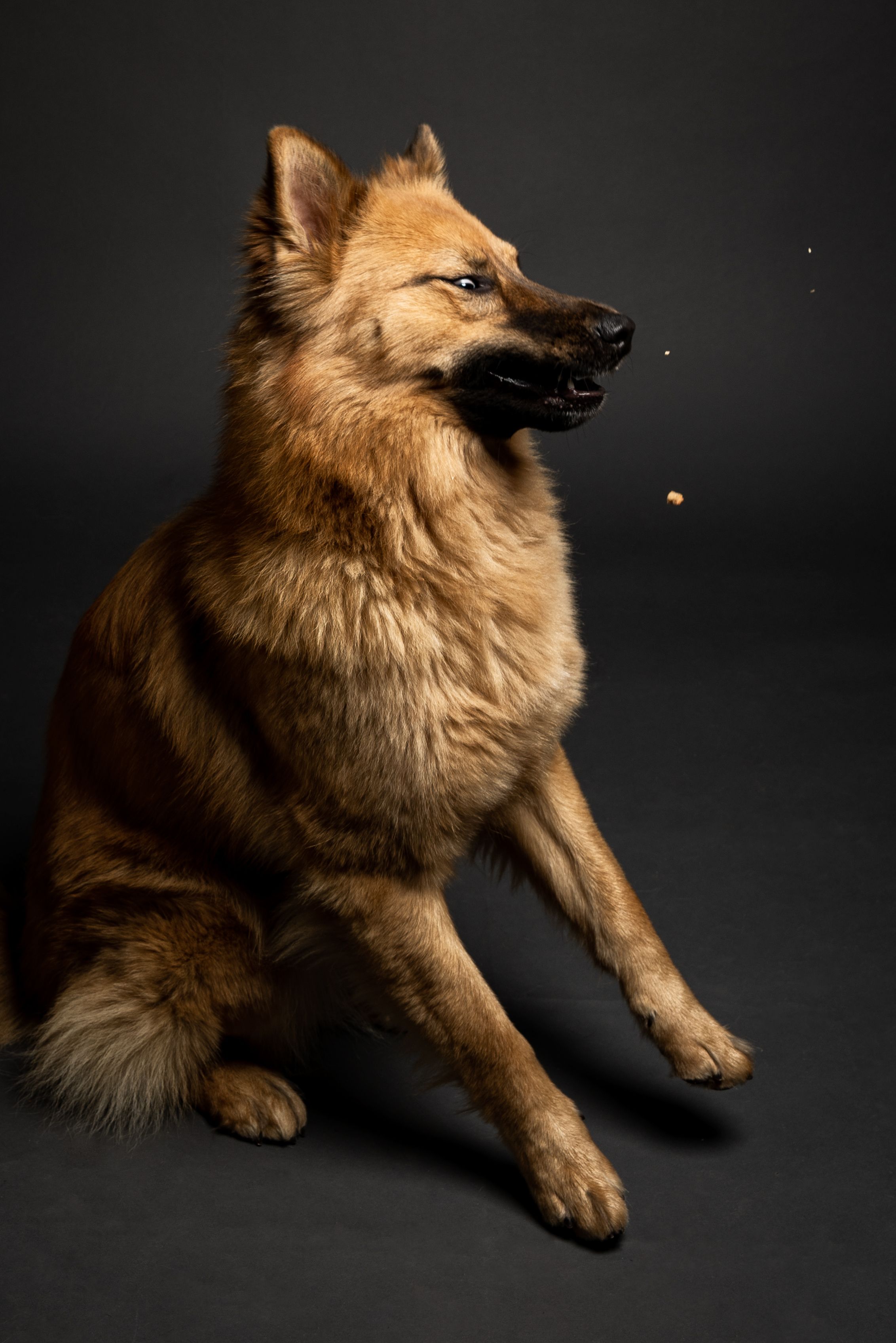 high definition derp