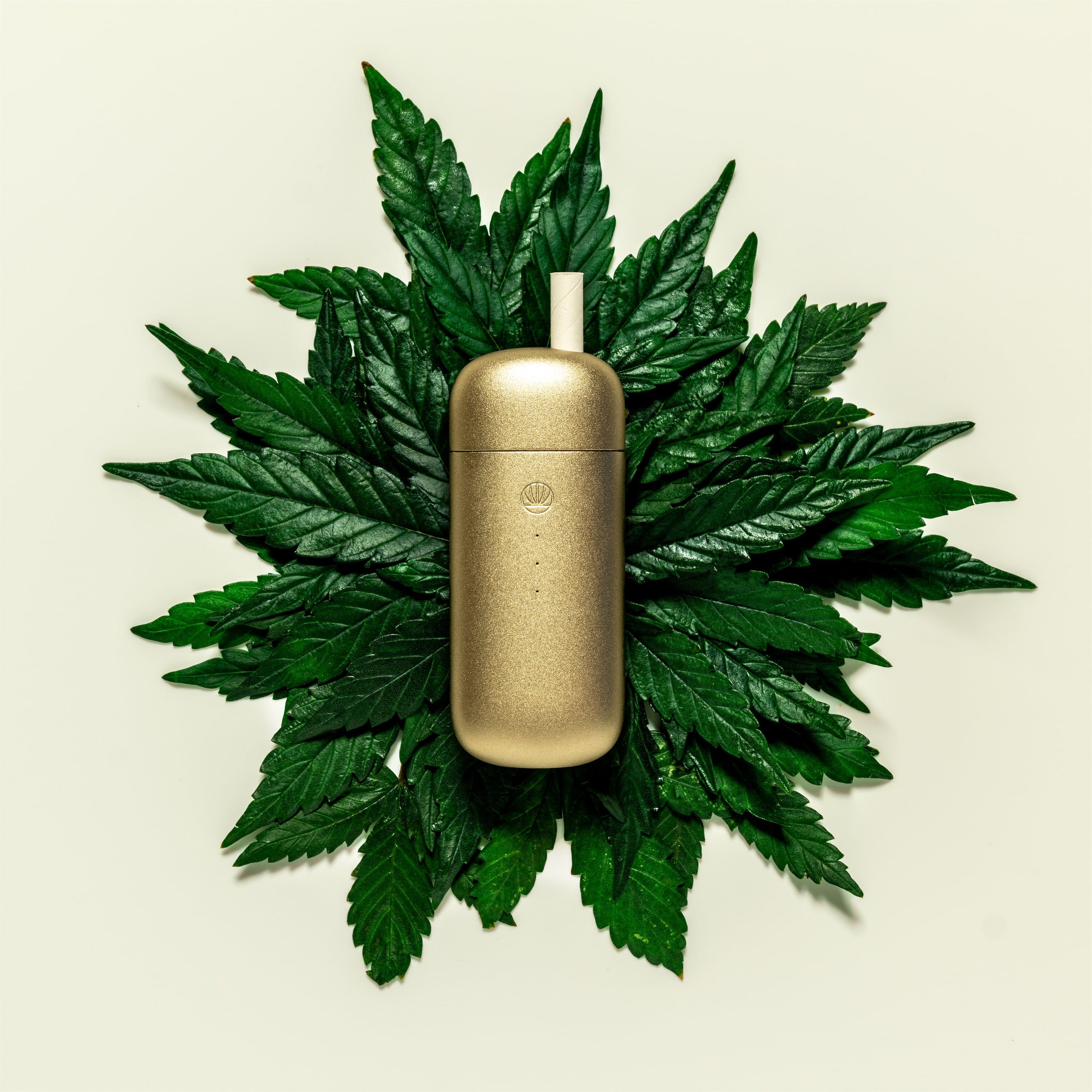 Omura Series X Gold on Cannabis leaves