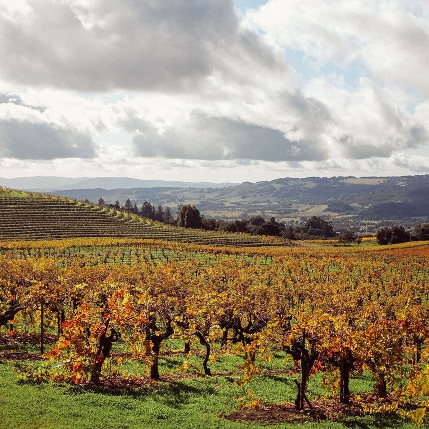 Sonoma Over Thanksgiving