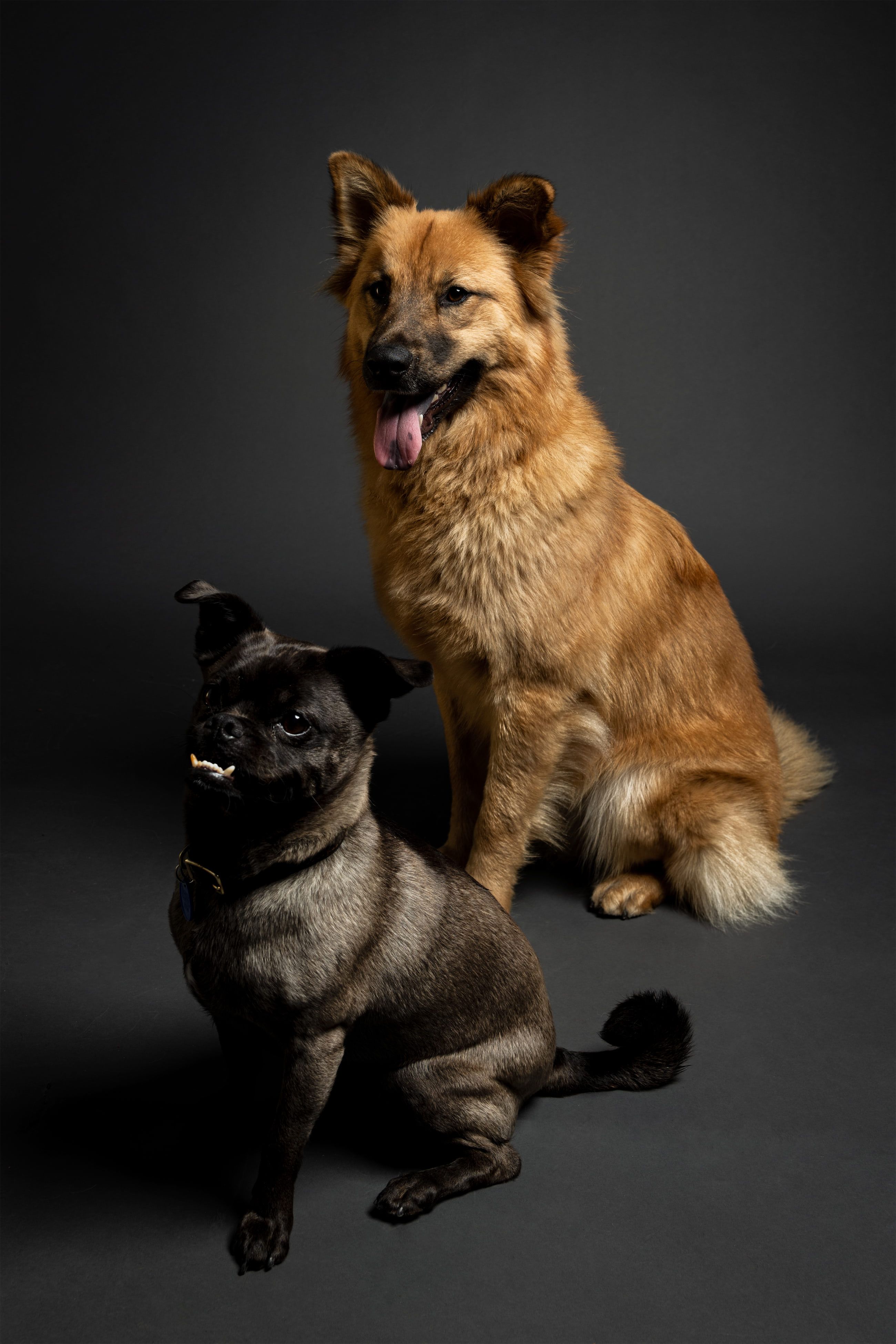 Charlie and Frannie