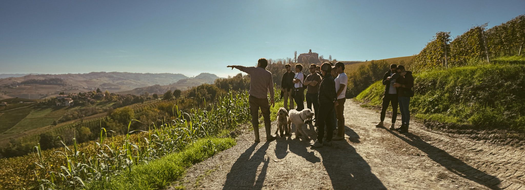 __wf_reserved_inherit